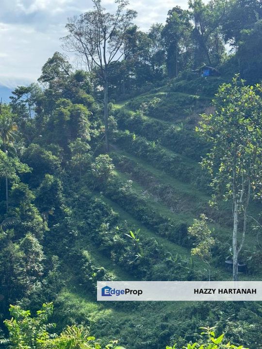 DUSUN @ TANAH PERTANIAN STRATEGIK DI GOMBAK, SELANGOR Buluh Akar / Bukit Madai, Mukim Setapak, Gombak, FOR SALE, Kuala Lumpur, Gombak