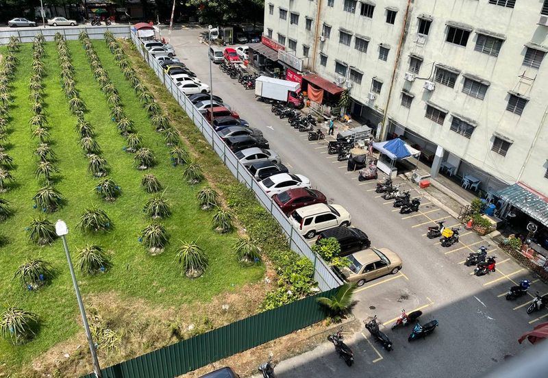 Damai Apartment, Tropicana