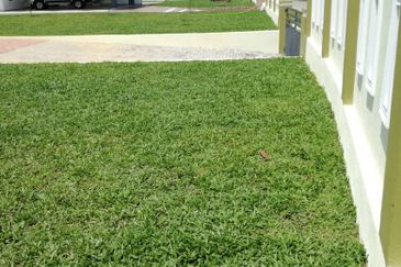 Nilai Springs Heights