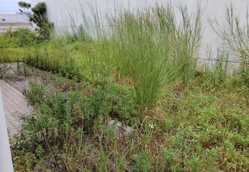 Belew market Price rm 600k Laman Granview 3 storey Bungalow Bran new basic unit