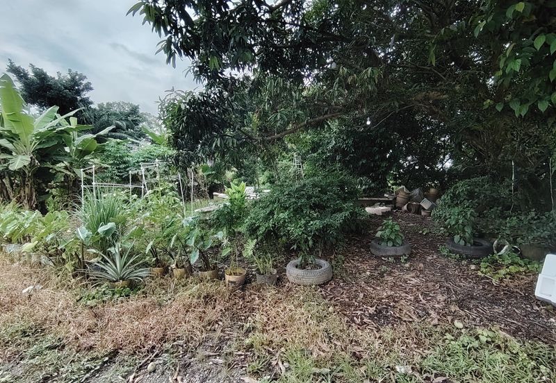 Pulau Meranti ( Industrial )