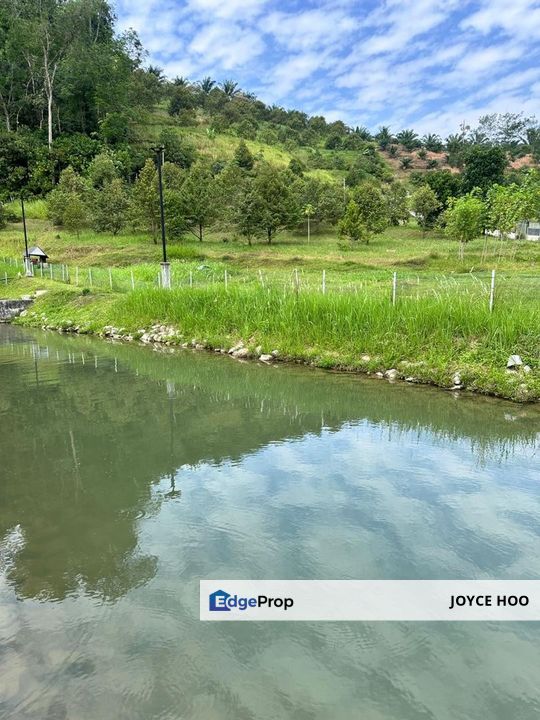 Serendah 6 Acre(s) Agricultural Land River Freehold Durian Orchard 6 Acres, Selangor, Hulu Selangor