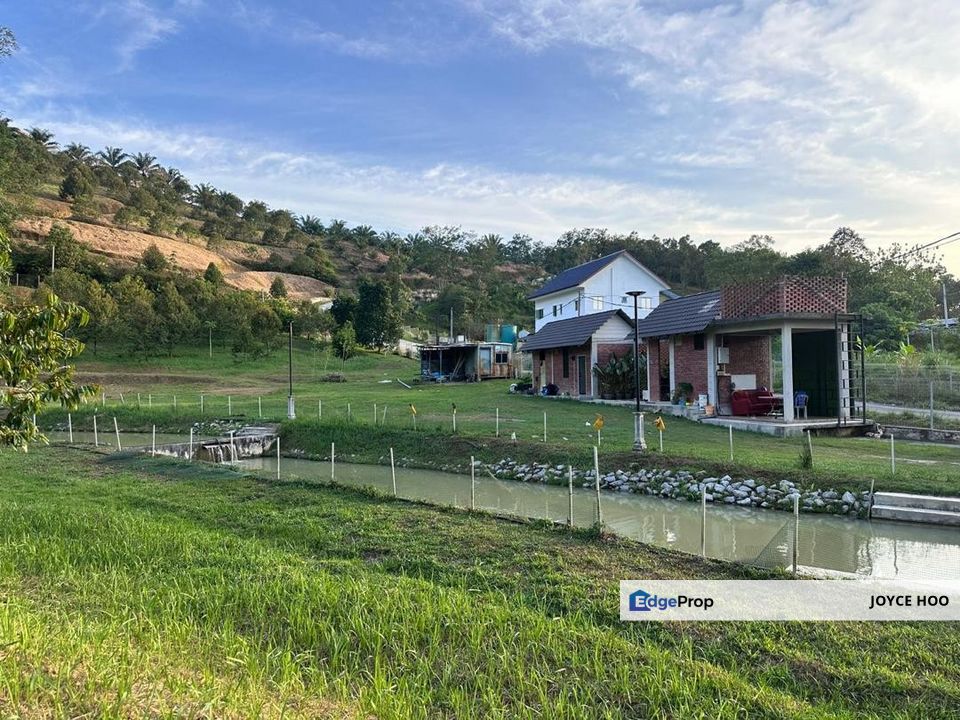 Serendah Land Musang King Tree River water Fish Catfish land, Selangor, Hulu Selangor