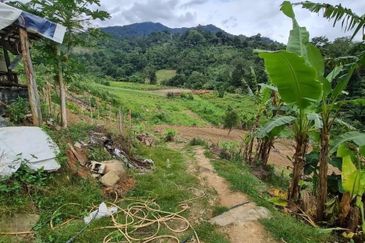 Three Pieces of land for sale+ Two pieces of lands are in Bentong (Roadside land ) and the other piece of land is in  Bukit Tinggi