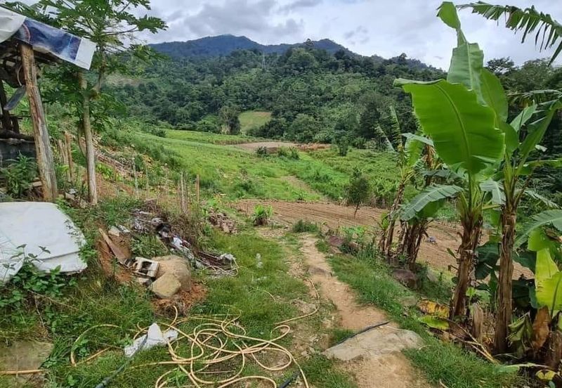 Three Pieces of land for sale+ Two pieces of lands are in Bentong (Roadside land ) and the other piece of land is in  Bukit Tinggi
