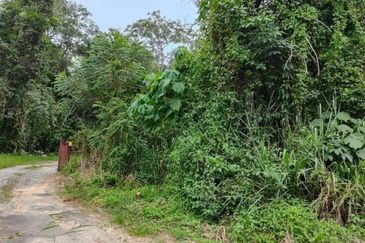 Three Pieces of land for sale+ Two pieces of lands are in Bentong (Roadside land ) and the other piece of land is in  Bukit Tinggi