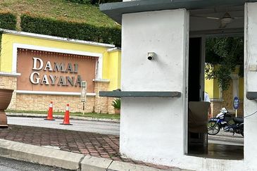 Damai Gayana