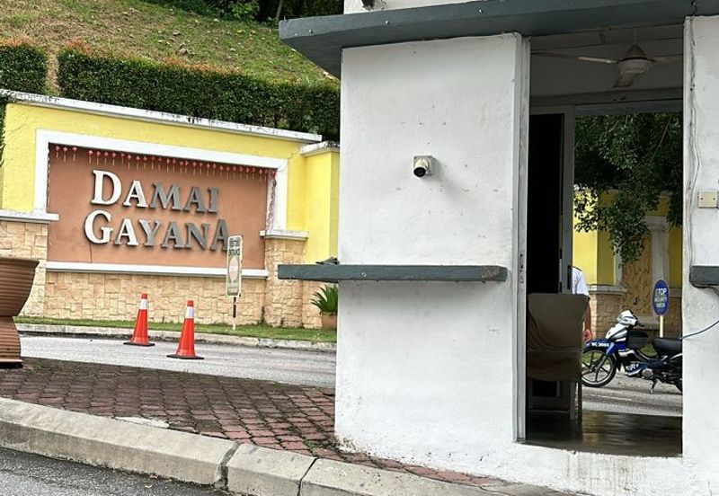 Damai Gayana