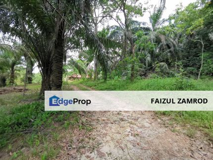 Tanah Pertanian 1.6 ekar Kg Bukit Cerakah 41050 Meru Klang untuk dijual., Selangor, Klang