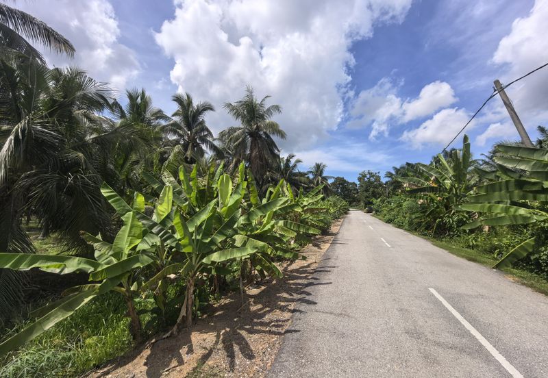 Freehold Agricultural Land Sabak Bernam Kampung Batu 38