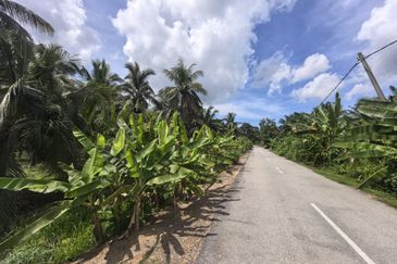 Freehold Agricultural Land Sabak Bernam Kampung Batu 38