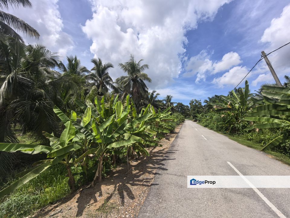 Freehold Agricultural Land Sabak Bernam Kampung Batu 38, Selangor, Sabak Bernam