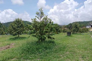 Raub Land For Sale 