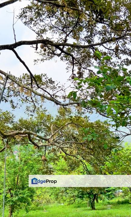 Mantin Seremban Land For Sale , Negeri Sembilan, Mantin