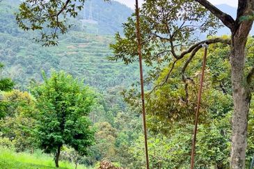 Mantin Seremban Land For Sale 