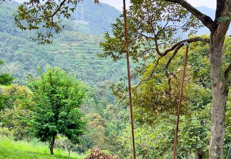 Mantin Seremban Land For Sale 