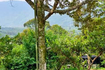 Mantin Seremban Land For Sale 