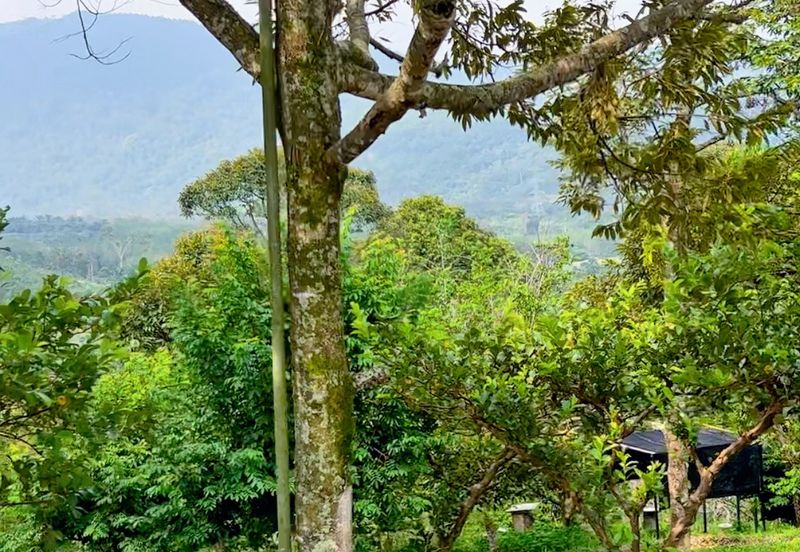 Mantin Seremban Land For Sale 