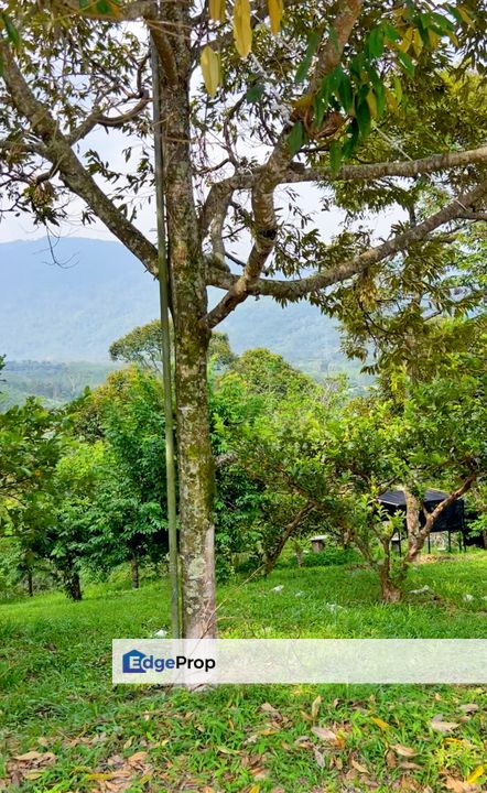 Mantin Seremban Land For Sale , Negeri Sembilan, Mantin