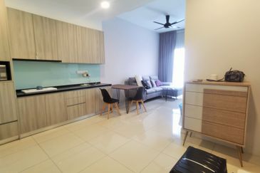 Cyperus @ Tropicana Gardens