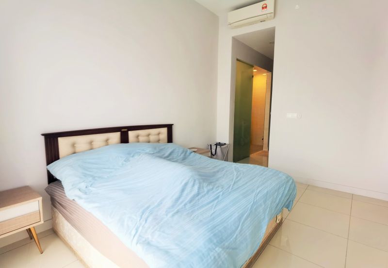 Cyperus @ Tropicana Gardens