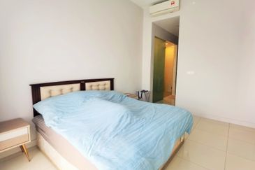 Cyperus @ Tropicana Gardens