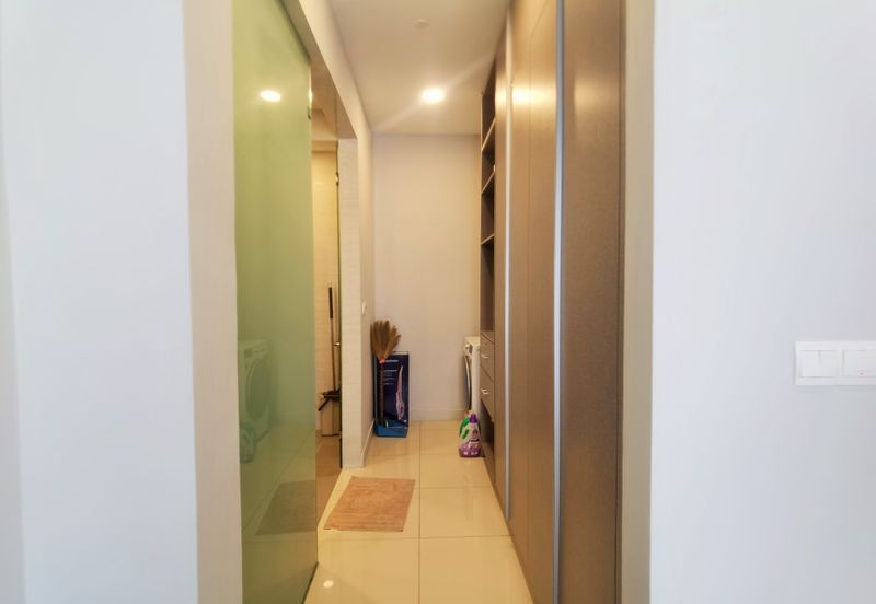 Cyperus @ Tropicana Gardens