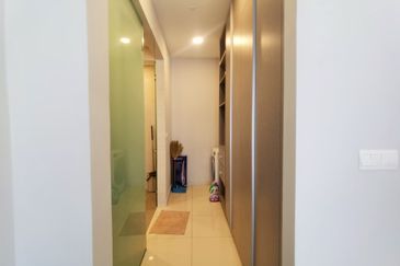 Cyperus @ Tropicana Gardens