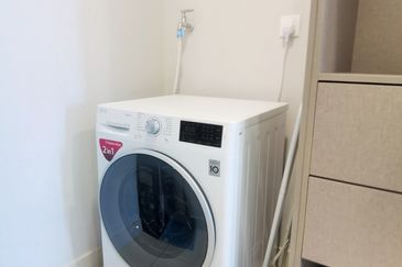 Cyperus @ Tropicana Gardens