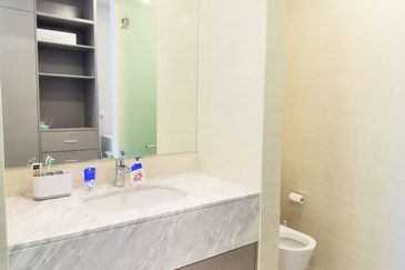 Cyperus @ Tropicana Gardens