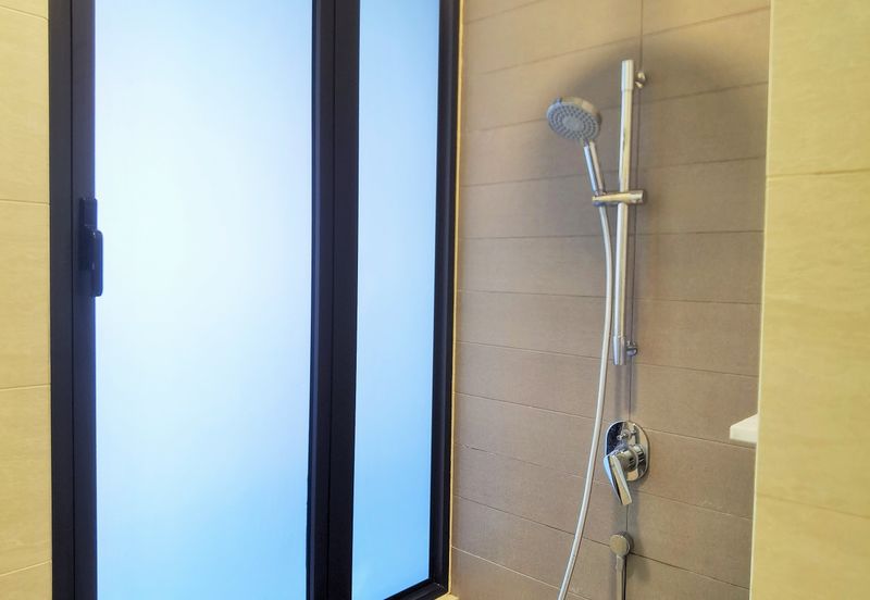 Cyperus @ Tropicana Gardens