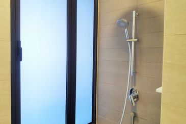 Cyperus @ Tropicana Gardens