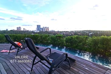 Cyperus @ Tropicana Gardens