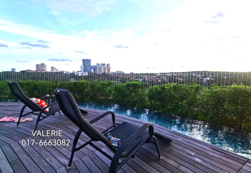 Cyperus @ Tropicana Gardens