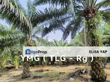 6 Acres 10 Years Palm Trees Freehold Agri Land @ Jalan Meru Batu 7 Klang FOR SALE, Selangor, Klang