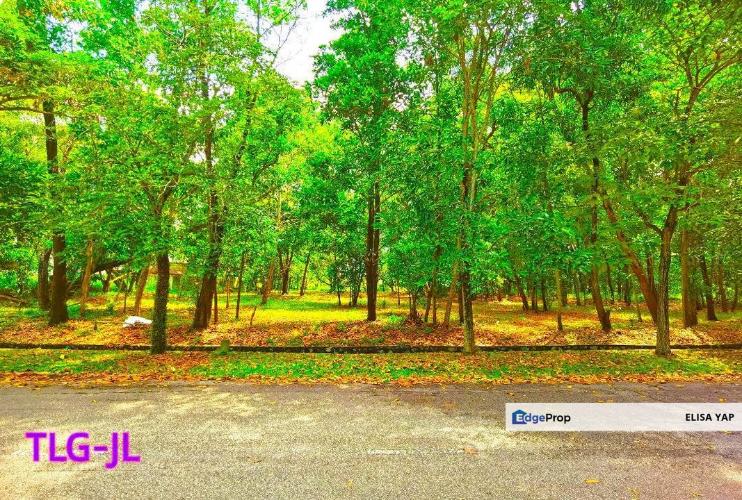 Freehold Putra Crest Bungalow Land @ Putra Heights Subang Jaya  FOR SALE, Selangor, Subang Jaya