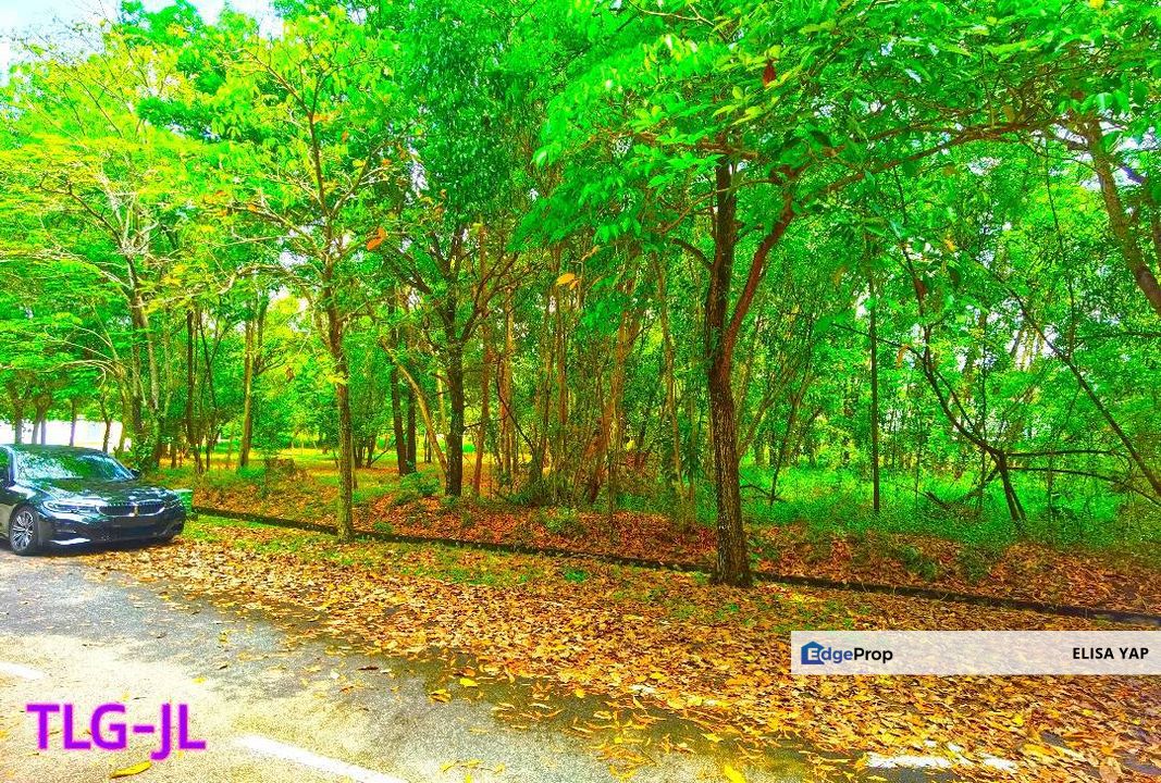 Freehold Putra Crest Bungalow Land @ Putra Heights Subang Jaya  FOR SALE, Selangor, Subang Jaya