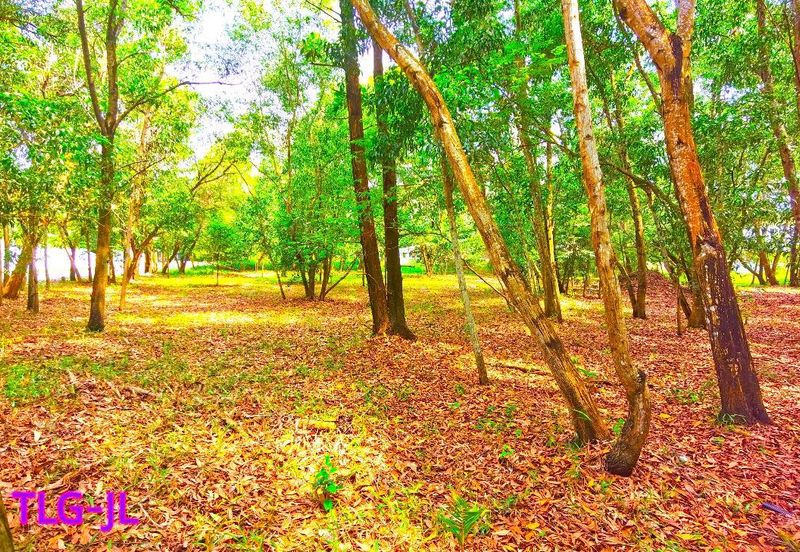 Putra Crest @ Putra Heights