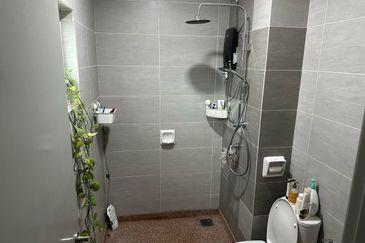 Zeta DeSkye Residence