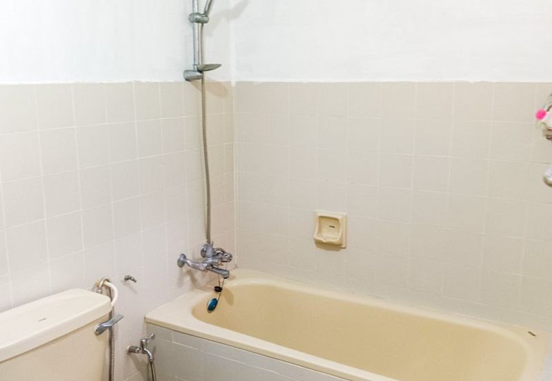 Serendah Golf Resort (Chazara, Fabriciana, Issoria, Vanessa)