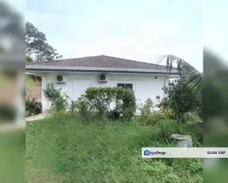 Karak  Pahang 1.06 acre Musang King with Landed House Freehold FOR SALE, Pahang, Karak