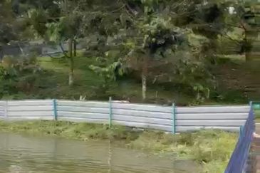 Raub, Mukim Sega Kampung Jeruas  Pahang 6 acres  included 2 Landed House ,Fish Pond , Durian Tree FOR SALE