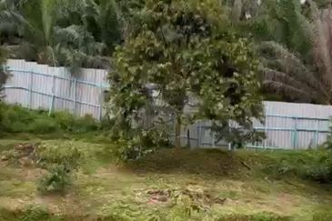 Raub, Mukim Sega Kampung Jeruas  Pahang 6 acres  included 2 Landed House ,Fish Pond , Durian Tree FOR SALE