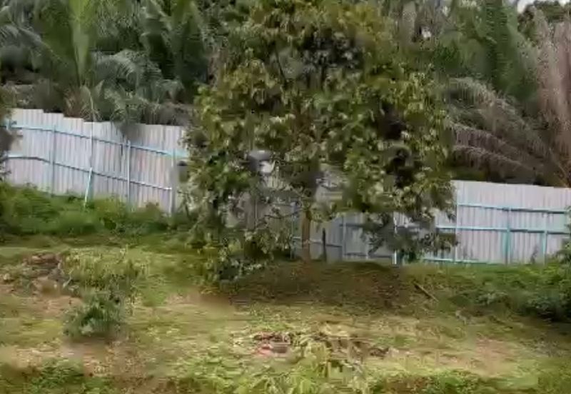 Raub, Mukim Sega Kampung Jeruas  Pahang 6 acres  included 2 Landed House ,Fish Pond , Durian Tree FOR SALE