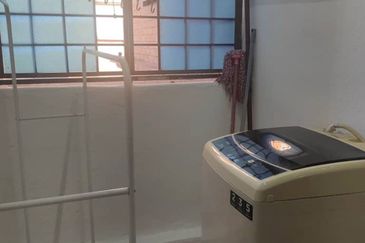 Evergreen Park Acorn and Hazel