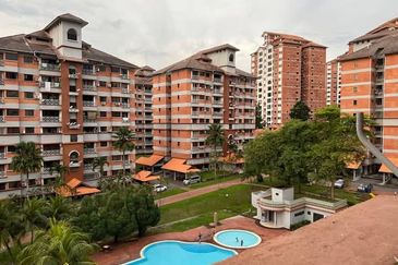Evergreen Park Acorn and Hazel