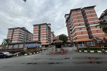 Evergreen Park Acorn and Hazel