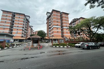 Evergreen Park Acorn and Hazel