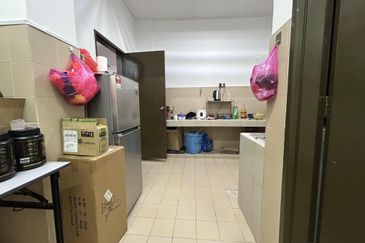 Evergreen Park Acorn and Hazel