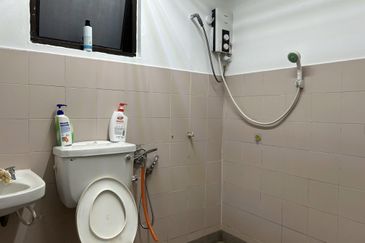 Evergreen Park Acorn and Hazel